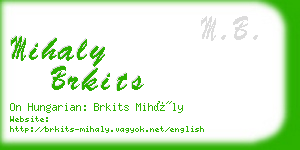 mihaly brkits business card